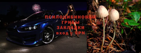 мдпв Михайлов