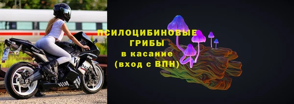 ГАЛЛЮЦИНОГЕННЫЕ ГРИБЫ Алзамай