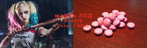 ГАЛЛЮЦИНОГЕННЫЕ ГРИБЫ Алзамай