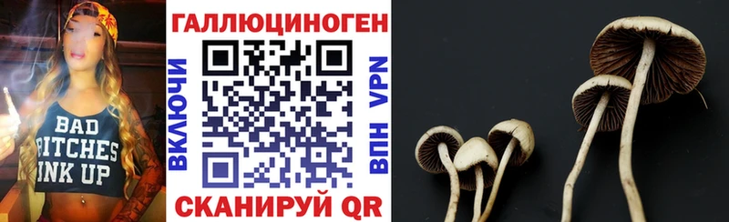 Псилоцибиновые грибы мухоморы  Полевской 